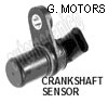 G. Motors - Sensor del ciguenial