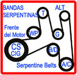 Banda serpentina - serpentine belts