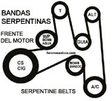 Banda serpentina - serpentine belts